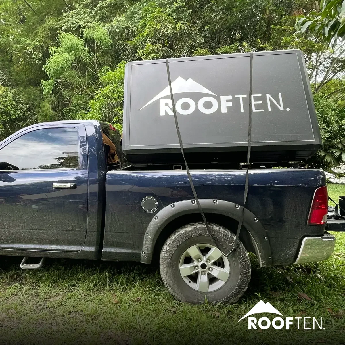 Sequoia mast 3 Sequoia mast 3