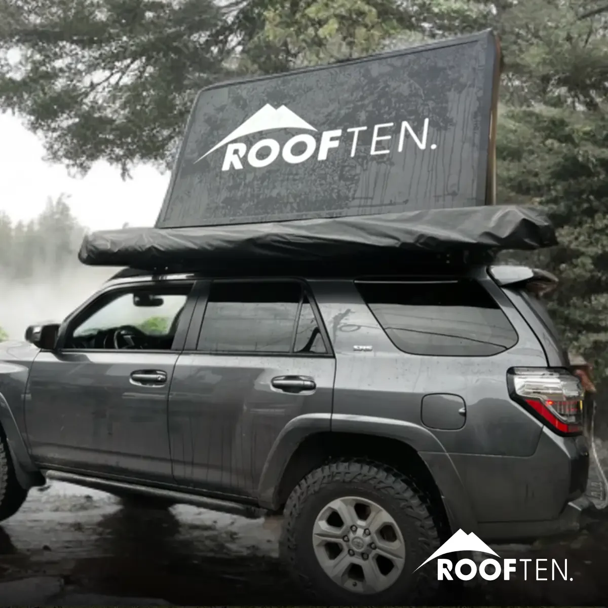 Sequoia mast 4 Sequoia mast 4