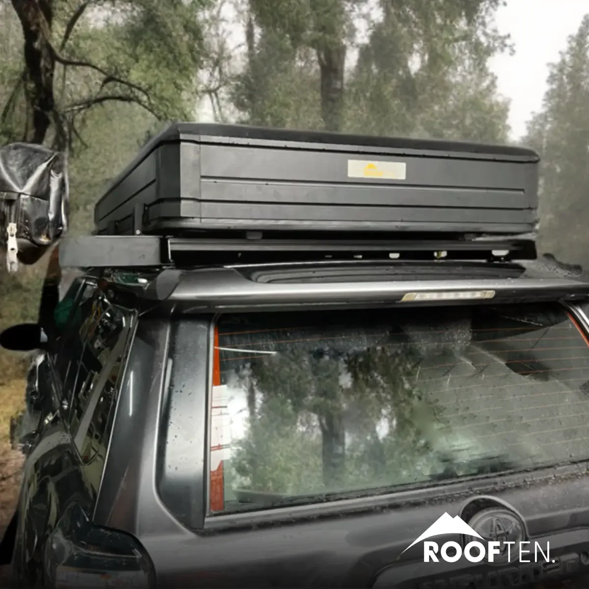 Sequoia mast 5 Sequoia mast 5